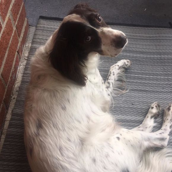 Meet your Posher, Kim - Picture 1 of 1